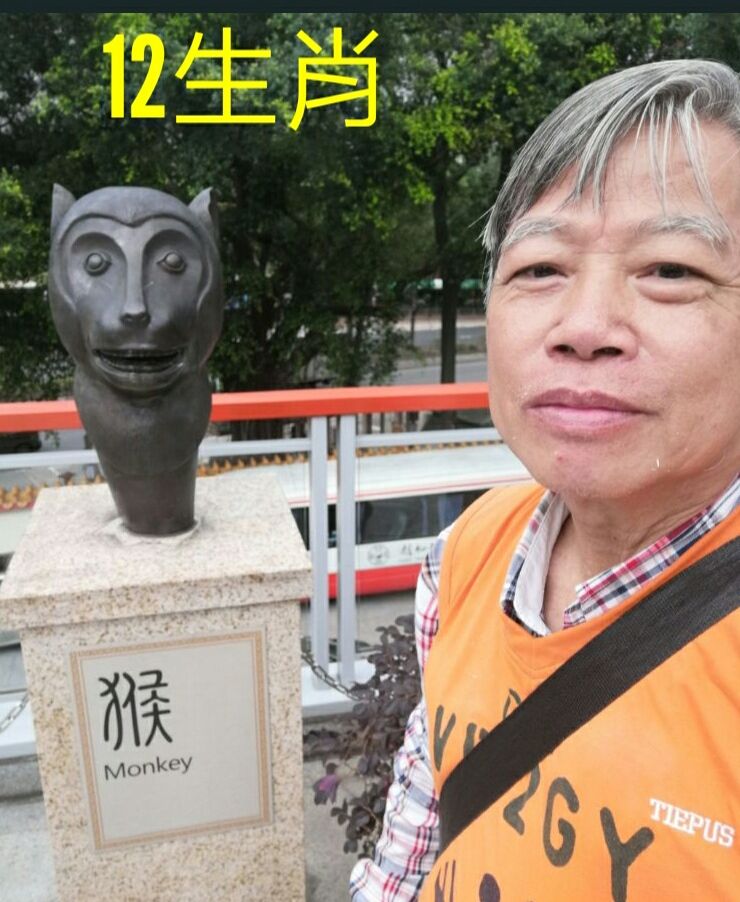 1550918753603_adobe.jpg