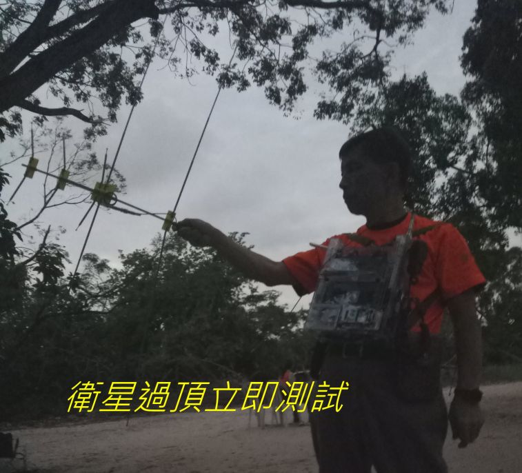 9864.jpg