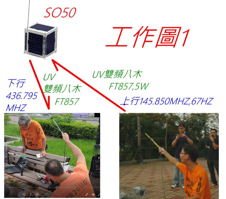 9953.jpg