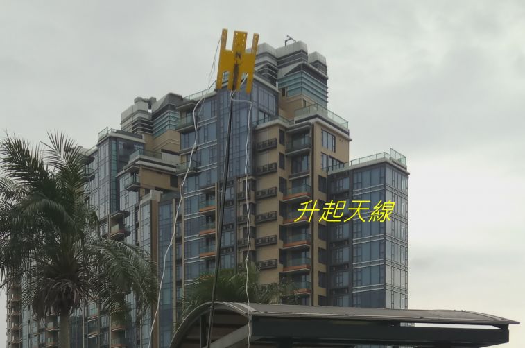9949.jpg