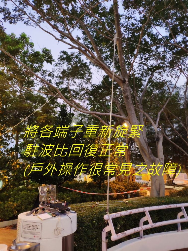 9869.jpg