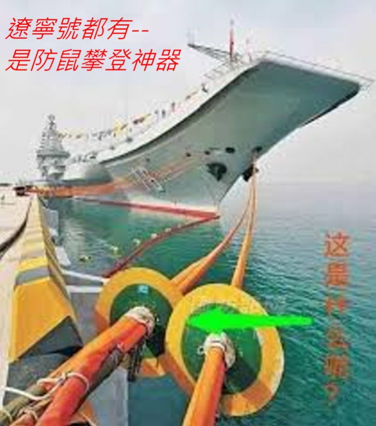 9971.jpg