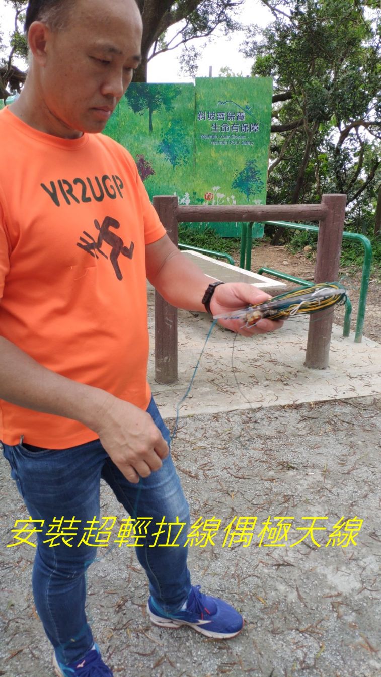9931.jpg