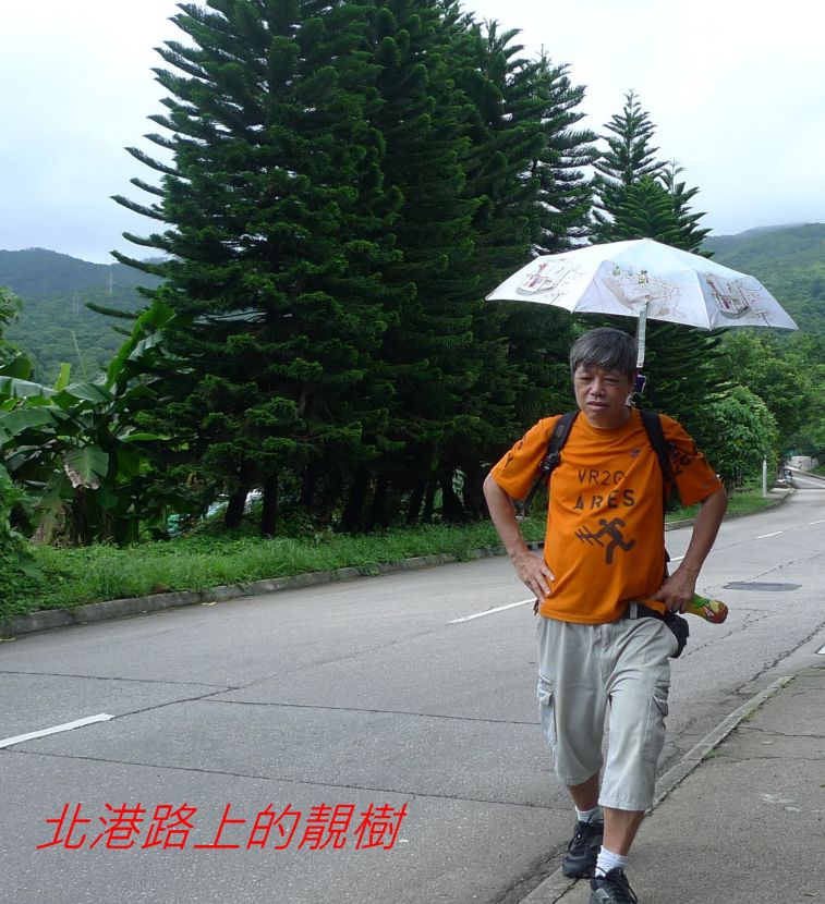 0 040 北港路上的靚樹-.jpg