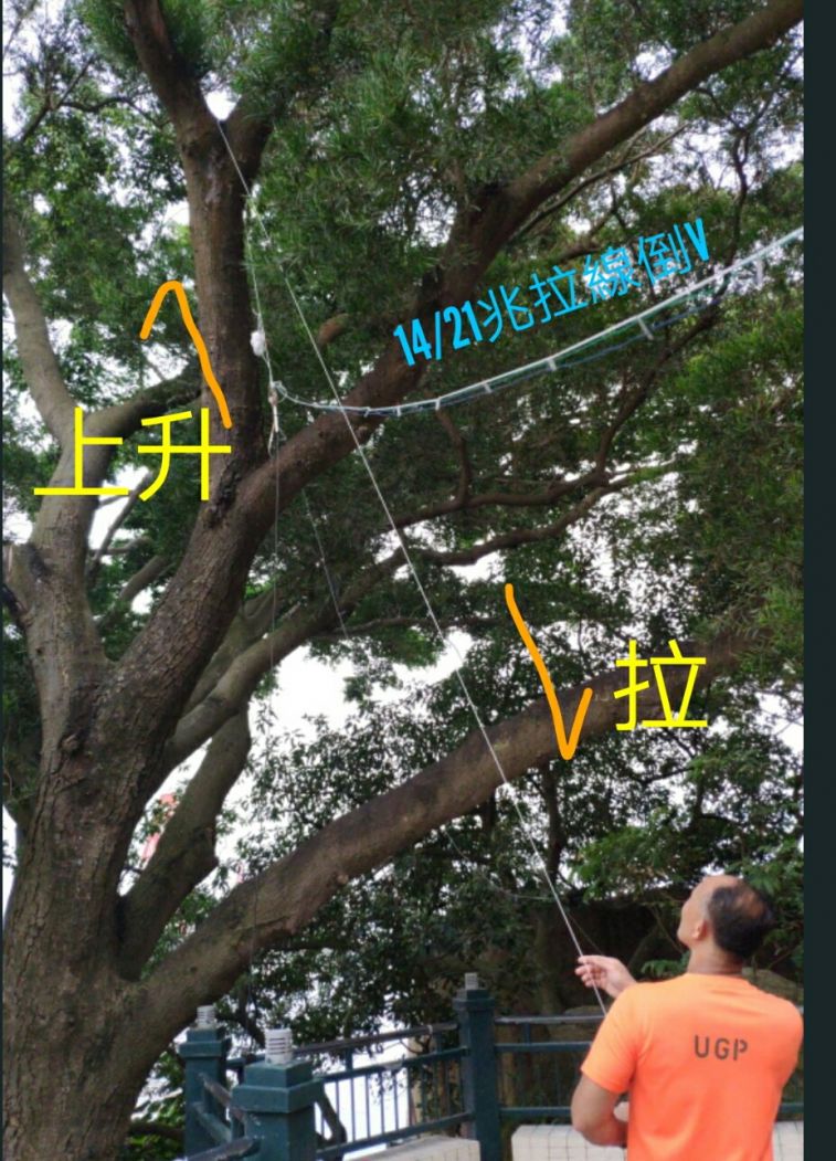 1566820577458_adobe.jpg