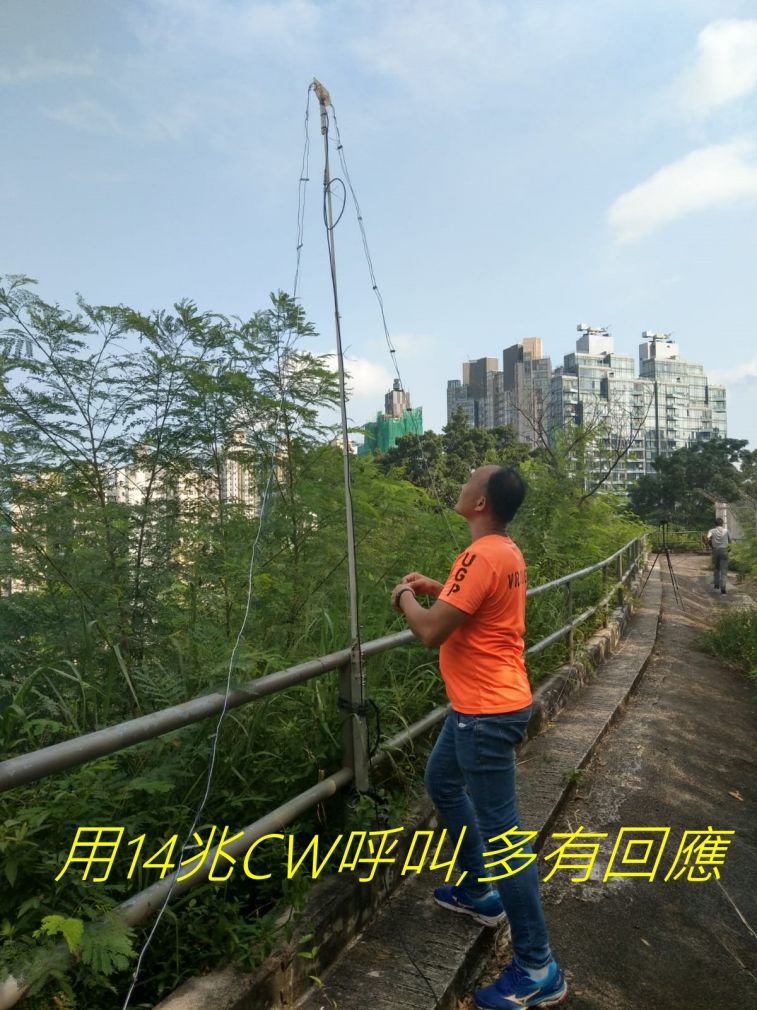 9851.jpg