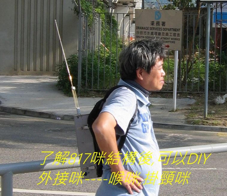 9838.jpg