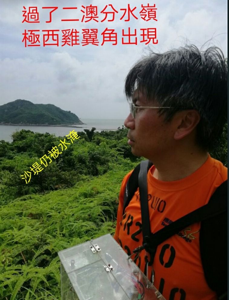 1563577871601_adobe.jpg