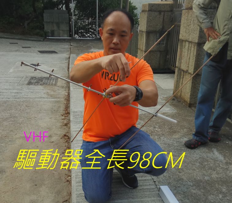 9901.jpg