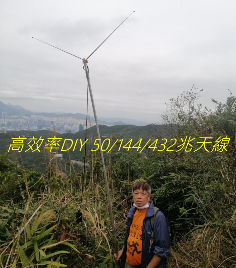 9893.jpg