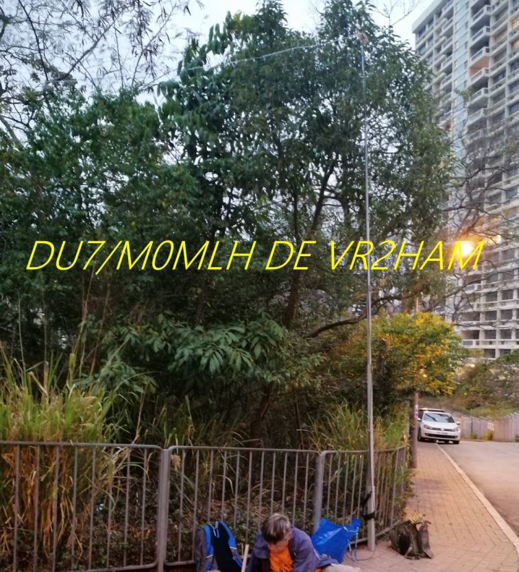 9884.jpg