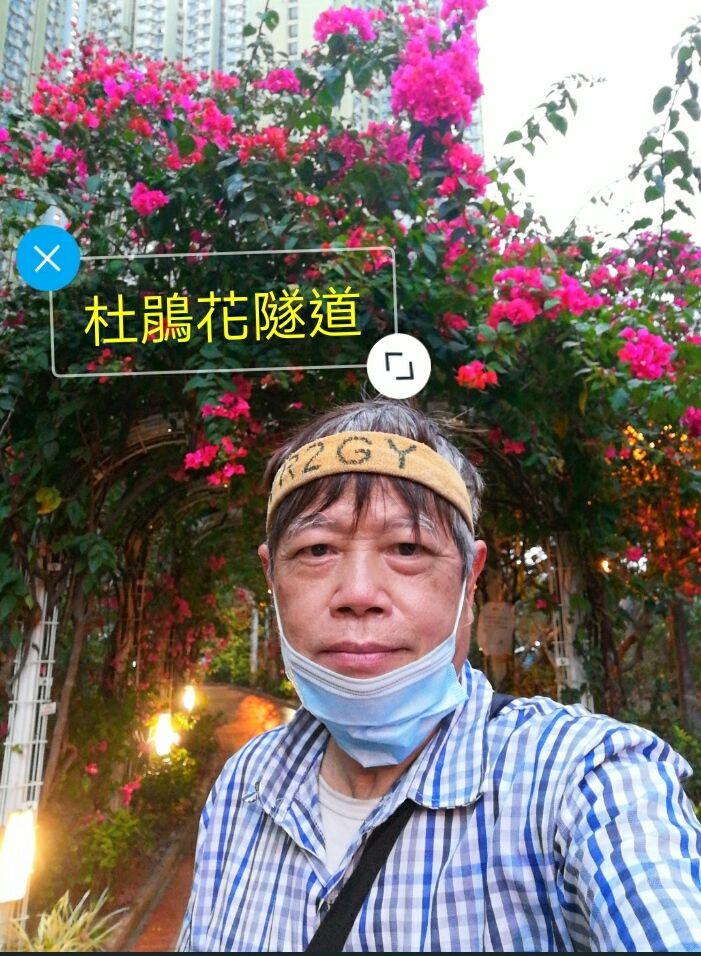 1584012602684_adobe.jpg