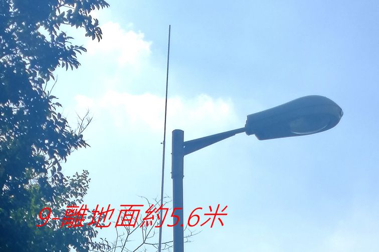 9879.jpg