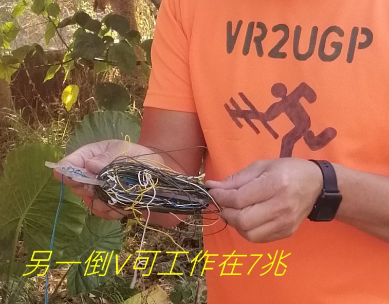 9873.jpg