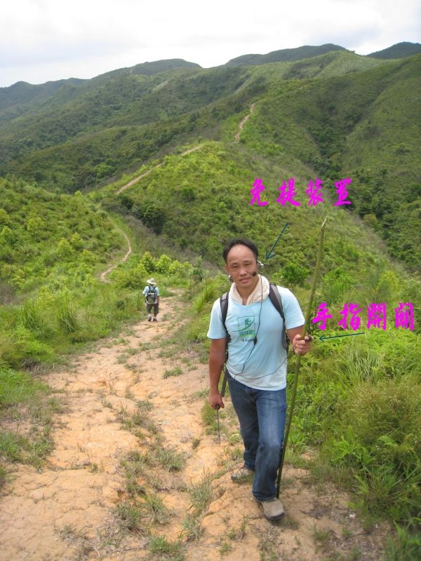 10082000298d6943a79d063cd3.jpg.thumb.jpg