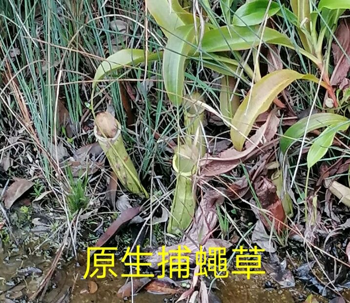 1586564606229_adobe.jpg