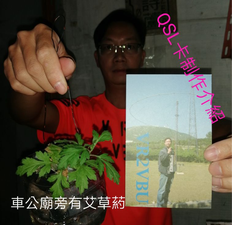 COLLAGE_20201104_093701.jpg