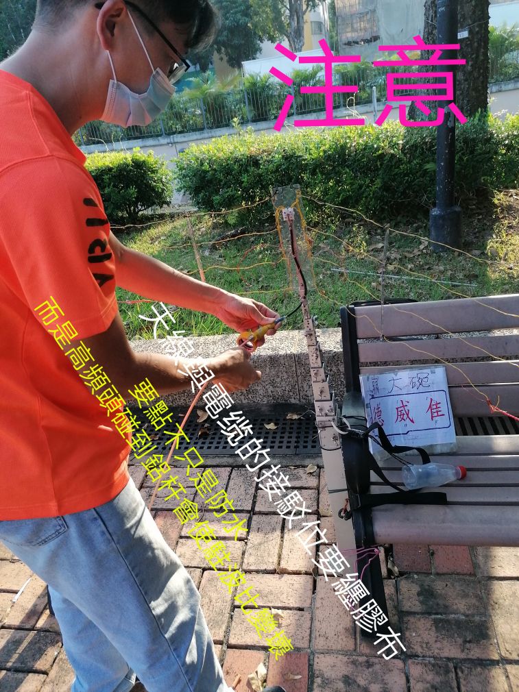 COLLAGE_20201106_173244.jpg