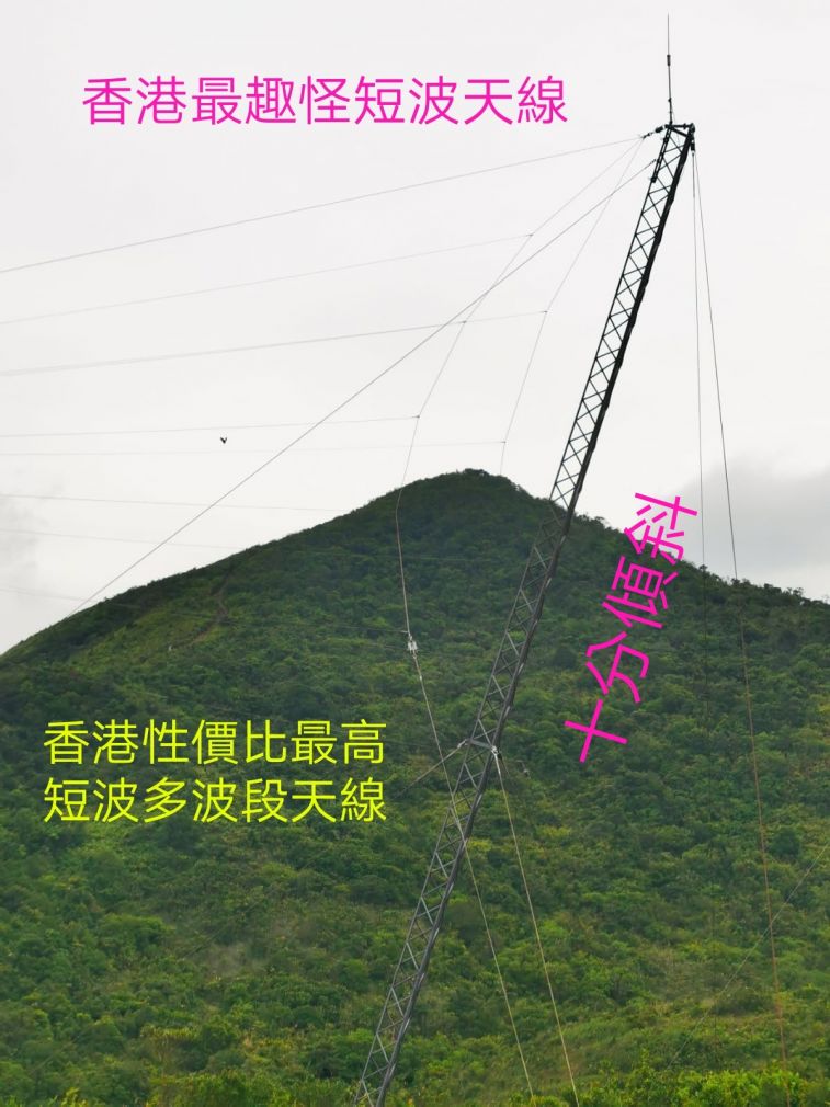 COLLAGE_20201116_014915.jpg