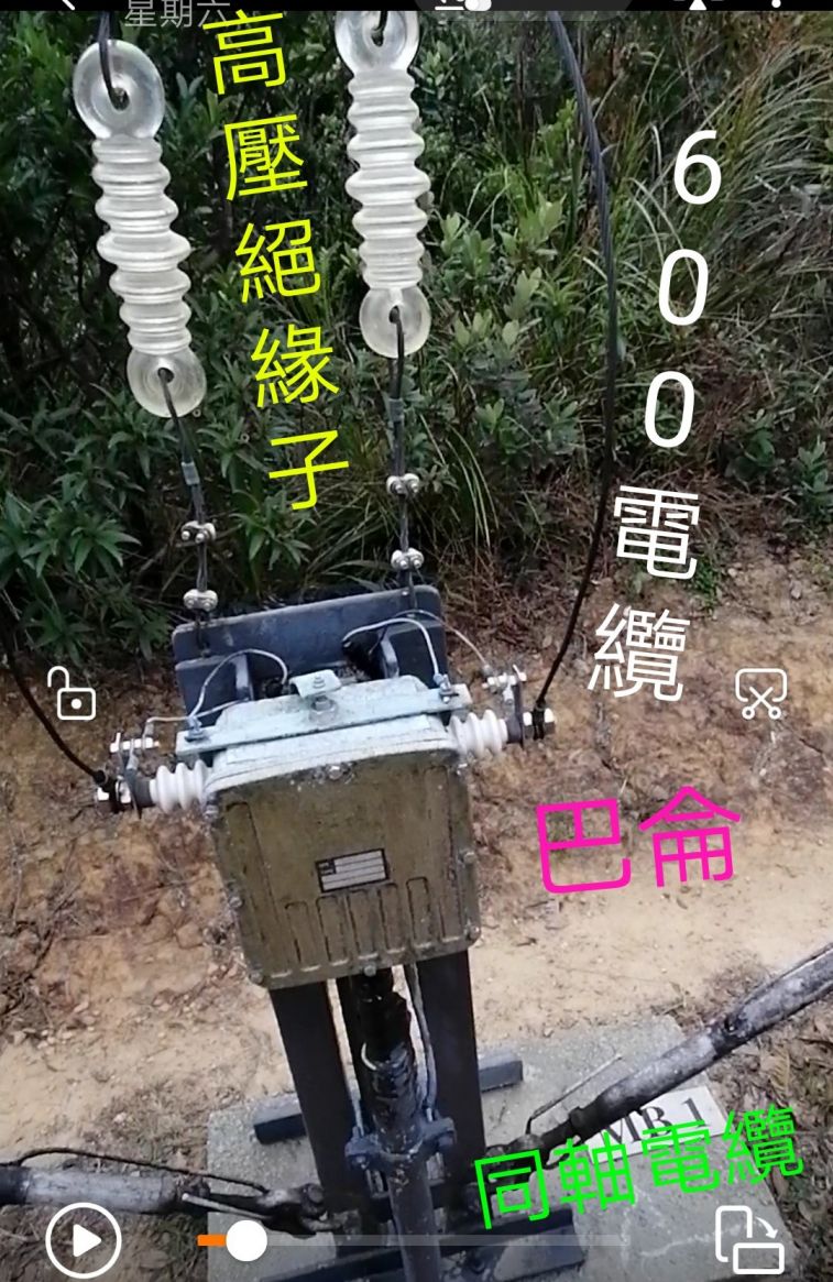 COLLAGE_20201121_150457.jpg