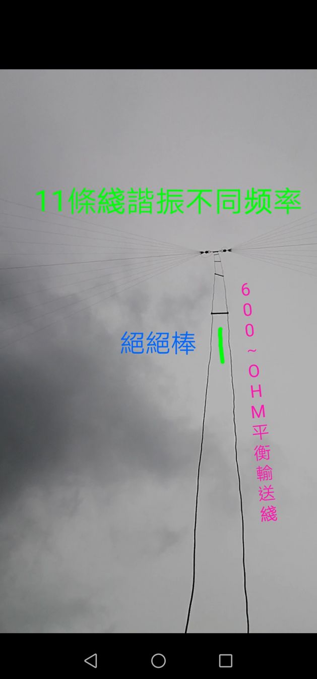 COLLAGE_20201121_152009.jpg