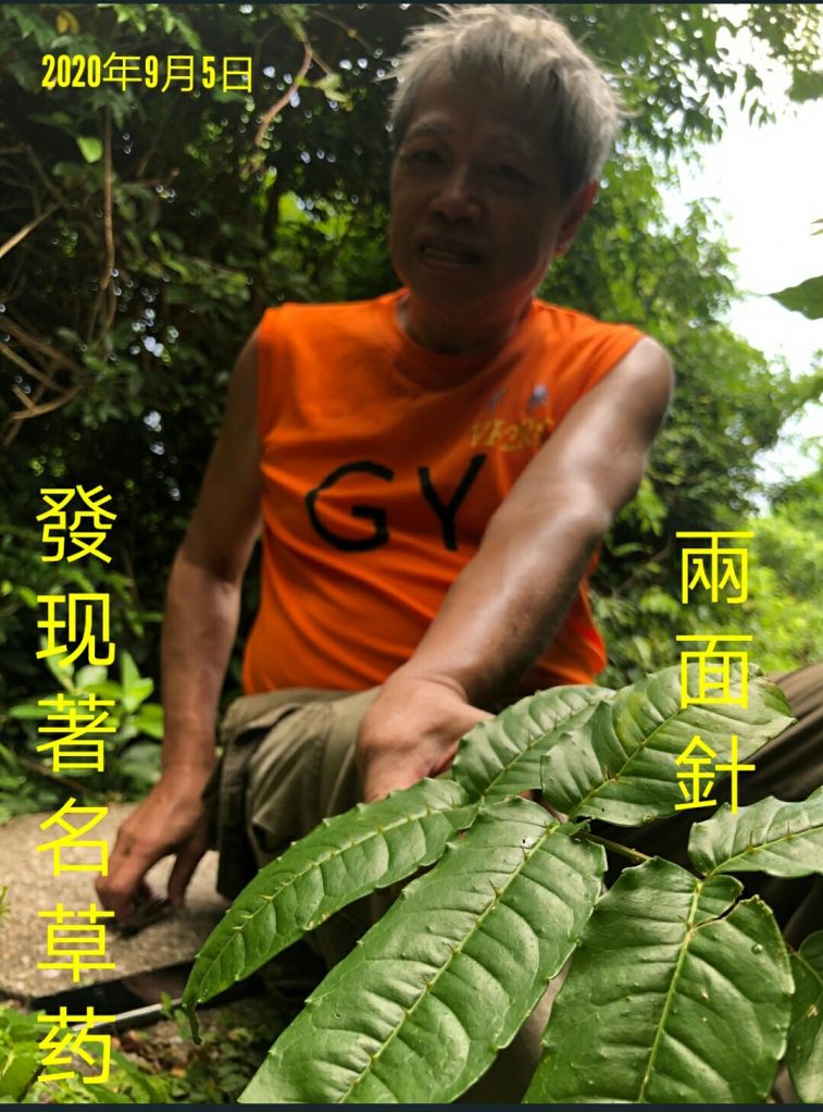 1599555621430_adobe.jpg