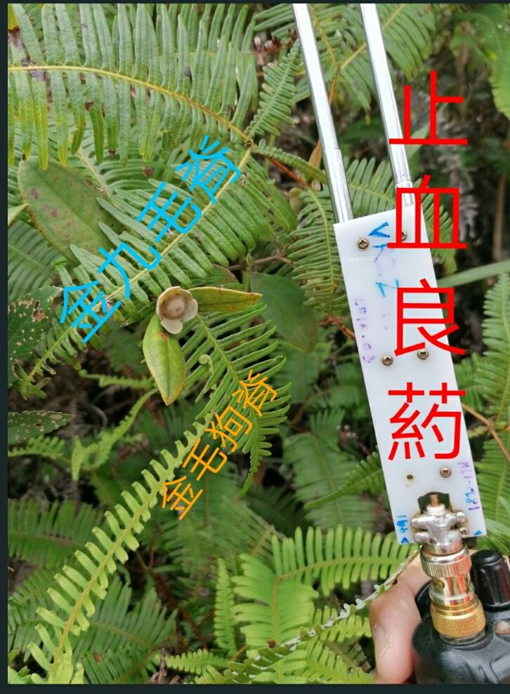 1600237032056_adobe.jpg