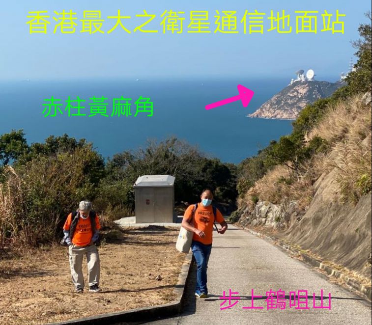 COLLAGE_20210201_183002.jpg