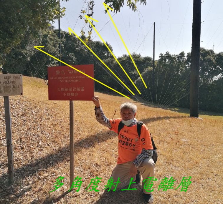 9988.jpg