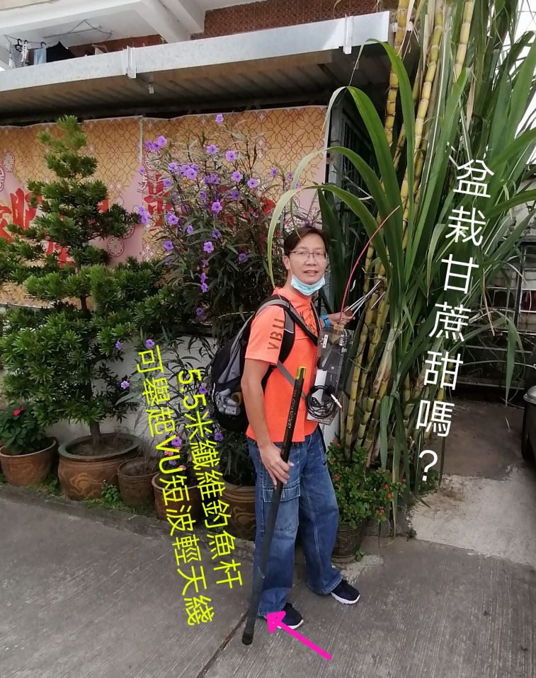 COLLAGE_20201130_215659.jpg