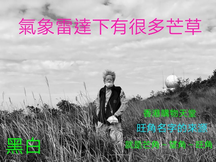 COLLAGE_20201221_204521.jpg