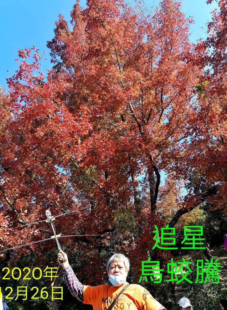 COLLAGE_20210107_175241.jpg