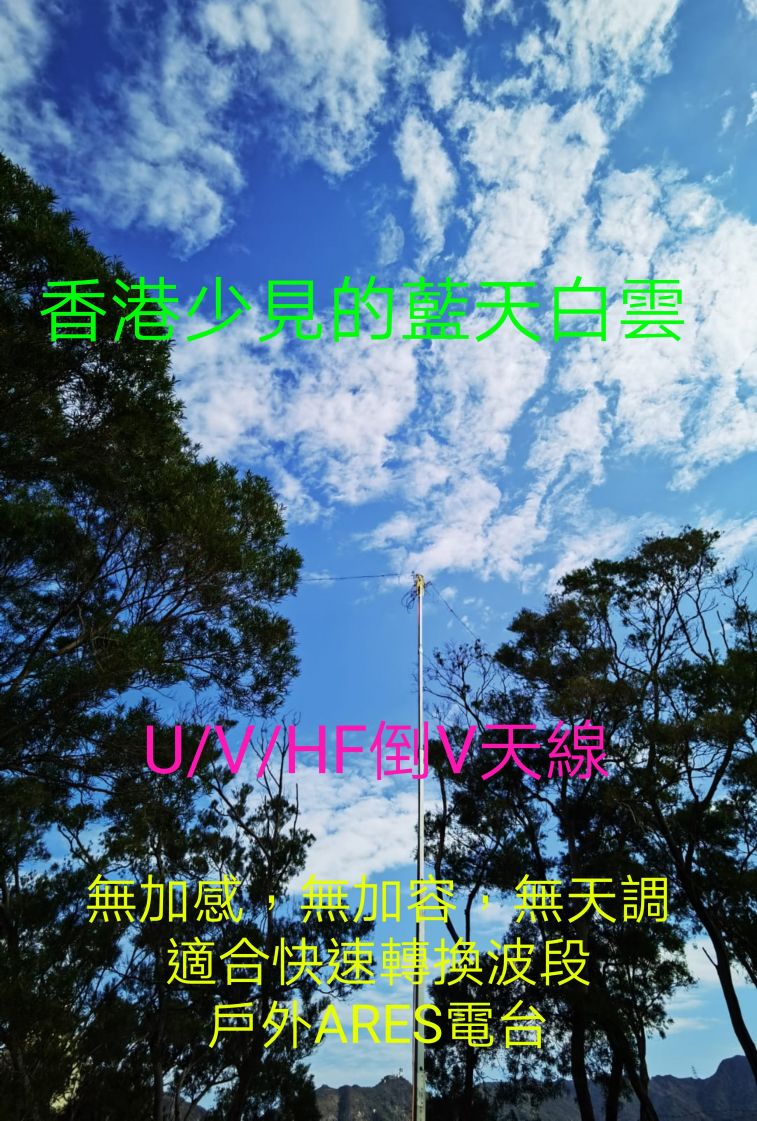 COLLAGE_20210113_194211.jpg