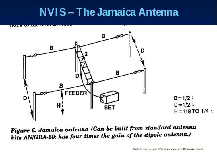 9936 img27.jpg
