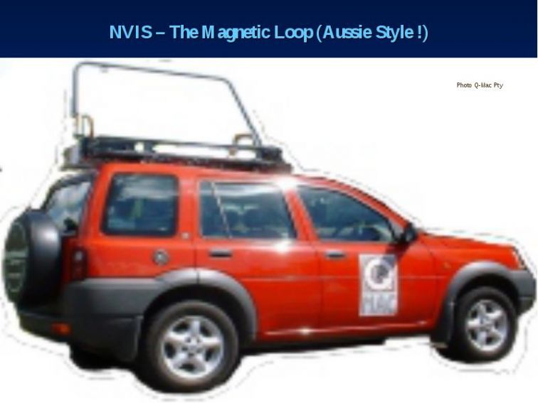 9912 img38.jpg