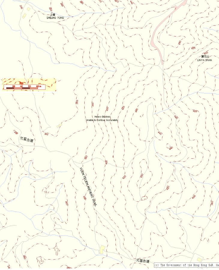 9982--------------.jpg
