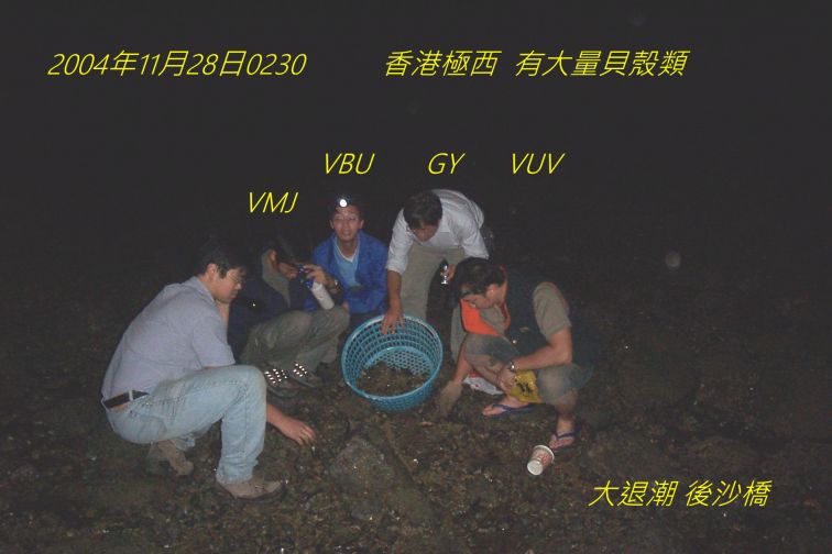 00000-9428,.jpg
