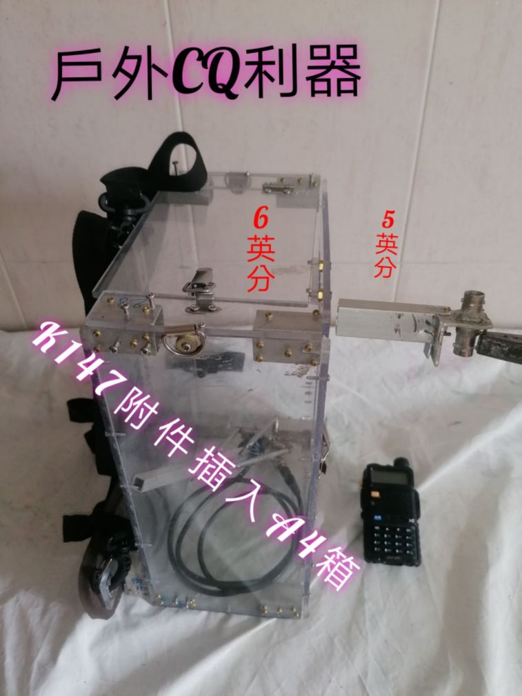 IMG_20221115_13796.jpg