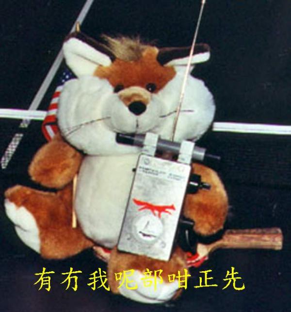 80-347.jpg