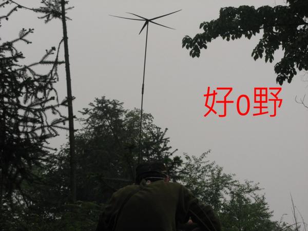 030.jpg