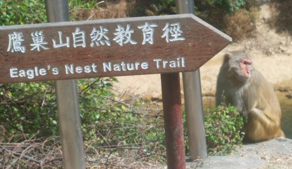 001未命名 - 80.jpg