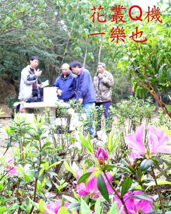 頂10.jpg